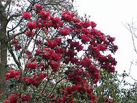 29-04-05kodak_109