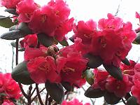 29-04-05kodak_115