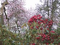 29-04-05kodak_148