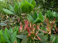 29-05-2006_16-59-43_33