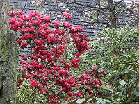 30-04-05kodak_118