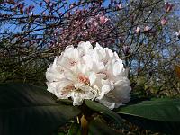 16-04-2007_09-58-57_21