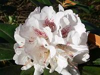 17-04-2007_09-12-10_21