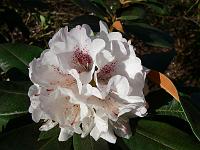 17-04-2007_09-12-14_22