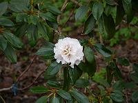 2013-05-08_07-42-18_0162