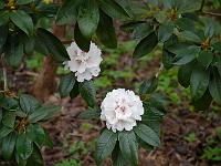 2013-05-08_07-42-32_0164