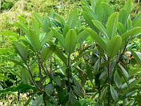 01-06-2007_09-51-01_145