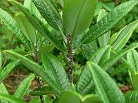 01-06-2007_09-51-11_148
