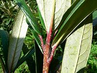 10-07-2007_16-20-03_51