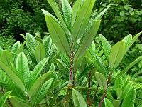 29-05-2007_16-43-20_04