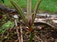 26-06-2007_09-51-51_25