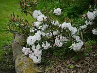 2013-05-19_16-30-17_0087