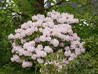 2015-05-12-08-15-21