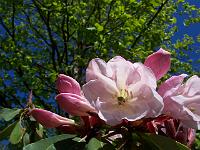 13-05-05kodak_053