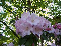 17-05-05kodak_028