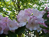 17-05-05kodak_030