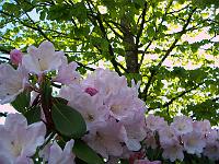 17-05-05kodak_032