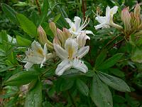 2009-06-11_09-48-32_0167