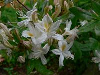 2009-06-11_09-48-52_0170