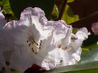 25-04-05kodak_177