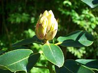 17-05-05kodak_224