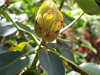 17-05-05kodak_227