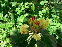 2011-05-23_09-21-00_0069