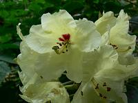 2011-05-27_09-19-16_0147