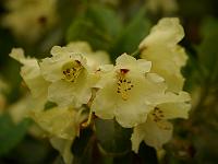 2013-06-23_11-19-49_0091