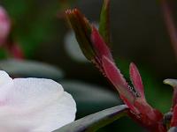 04-05-2008_08-49-01_103