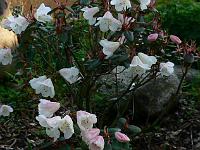04-05-2008_08-49-01_223