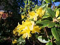 17-05-05kodak_011