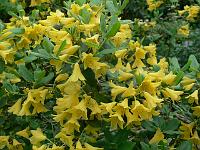 22-05-2007_14-03-09_12