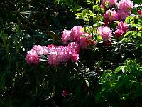 19-05-2007_11-00-39_25