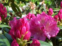 22-05-05kodak_170