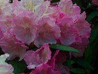 30-05-05kodak_060