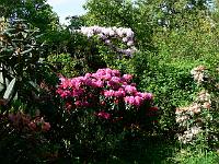 30-05-2006_10-17-07_94