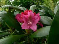 13-05-2007_10-11-49_116