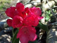 25-04-05kodak_171