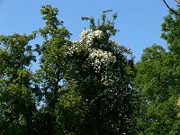 04-07-2006_10-21-26_161