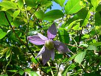 01-05-2007_14-26-53_73