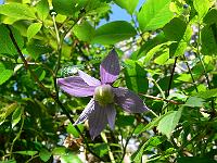 01-05-2007_14-27-00_75
