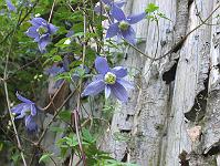 copy_of_110504_055
