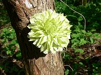 2011-07-19_16-53-59_0068