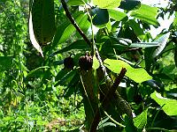 2010-07-03_10-24-41_0072