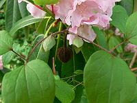 2011-06-08_09-35-40_0153