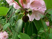 2011-06-08_09-36-42_0159