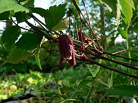2011-05-19_16-35-46_0001