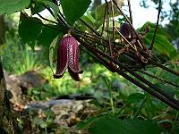 2011-05-19_16-36-52_0021