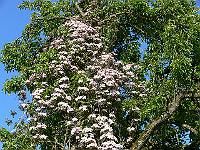 08-06-2006_18-03-03_19